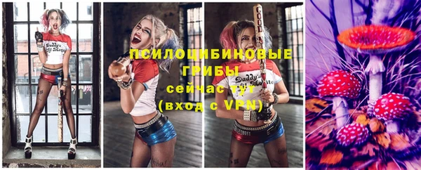 ПСИЛОЦИБИНОВЫЕ ГРИБЫ Баксан