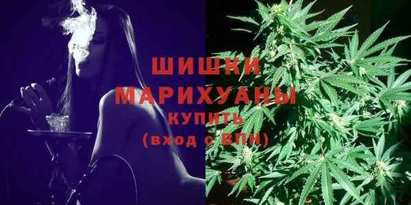 ПСИЛОЦИБИНОВЫЕ ГРИБЫ Баксан