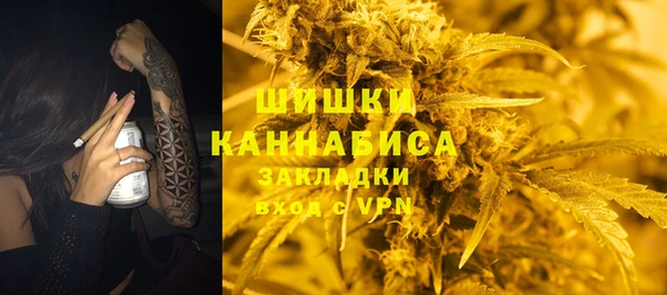 ПСИЛОЦИБИНОВЫЕ ГРИБЫ Баксан