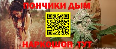 кокс Можга