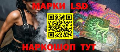 кокс Можга