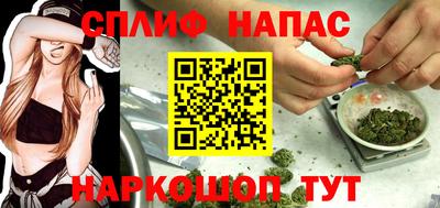 сатива Можайск