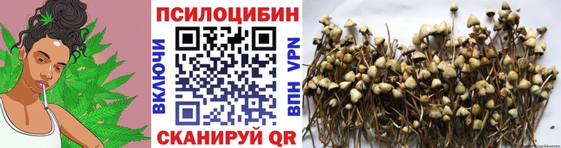 Псилоцибиновые грибы прущие грибы  Бор 