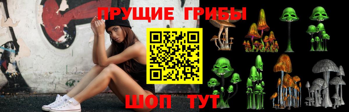 Галлюциногенные грибы ЛСД Бор